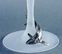 Makoulpa RWG027 Shark Wine Glass