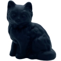 Animals - Cat Kitten - 123
