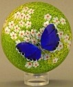 Orient and Flume 2416B Butterfly Blue Cased Paperweight