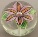Orient and Flume 2426P Lily Dichroic Pink Paperweight