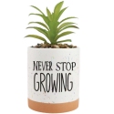 Our Name Is Mud 6012065N Never Stop Growing Planter