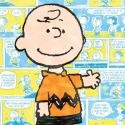 Peanuts by Westland 24410 Charlie Brown Canvas Wall Art 12X12