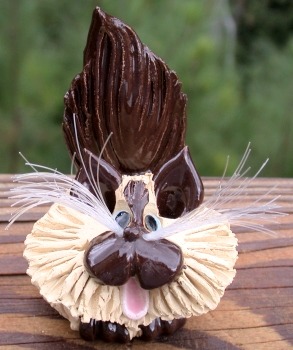 Pence Cats BCLHBirmanChocolate Birman - Chocolate