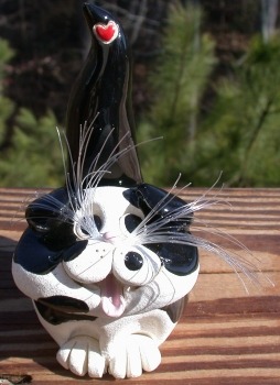 Pence Cats BCSHFoldBlackWhite Folded Ears Black and White Short Hair