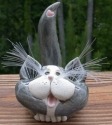 Pence Cats BCSHTuxedoGrey Tuxedo - Grey Short Hair