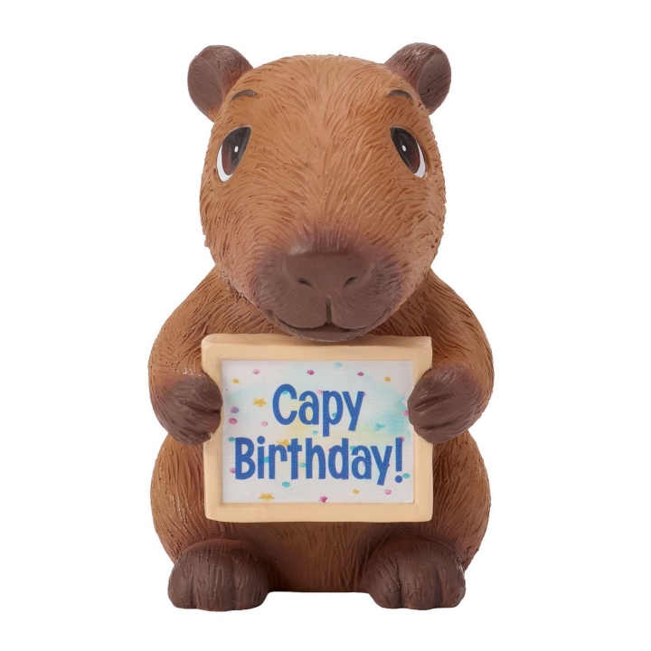 Precious Moments 252436N Capybara Figurine