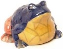 Raku South Africa F35 Frog Medium Colours