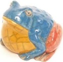 Raku South Africa F41 Frog Extra Large Colours