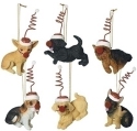 Roman Holidays 33560 Puppy In Santa Hat and Clown Nose Set of 6 Ornaments