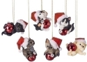 Roman Holidays 48872 Cats With Santa Hats and Glass Balls Ornaments Set of 6