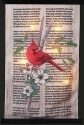 Roman Lights 136420N Lighted Cardinal Wall or Door Banner
