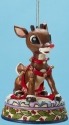 Jim Shore Rudolph Reindeer 4017296 Rudolph with Light Up Ornament