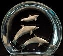 Starlite Studios 8273 Aquatic Ballet Kitty Cantrell