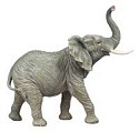 Wildlife 2655 Figurine