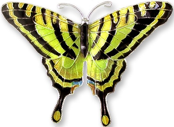 Zarah Co Jewelry 711802P Tiger Swallowtail Butterfly Pin