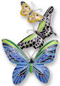Zarah Co Jewelry 2128Z2 Tropical Butterflies Pin