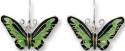Zarah Co Jewelry 2923Z1 Rajah Brooke's Birdwing Butterfly Earrings