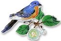 Animals - Birds - Bluebirds