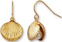 Nautical - Seashells