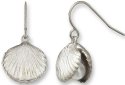 Nautical - Seashells